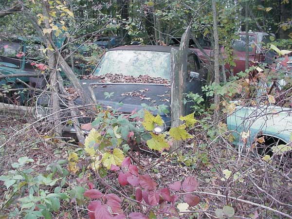 Junkyard tour: Kurt Schley and Sue Hunter Go Shopping