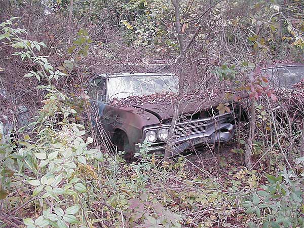 Junkyard Quest: Kurt Schley and Sue Hunter Go Shopping