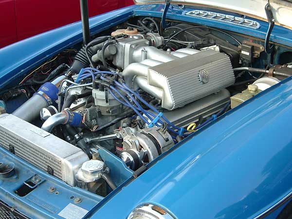 Ford 5.0L EFI Engine