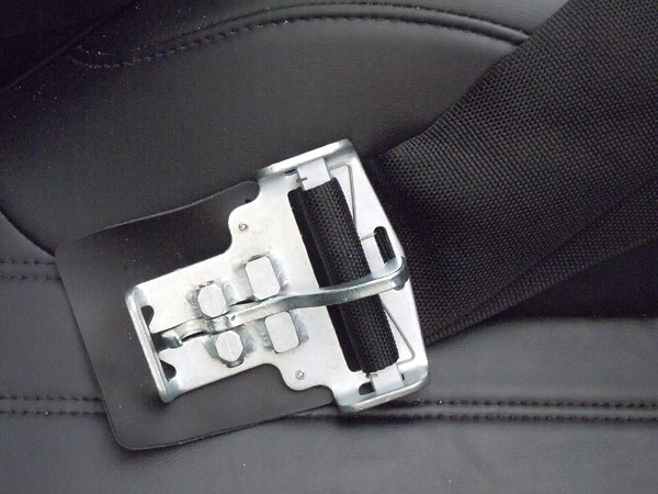 Seatbelt buckle.