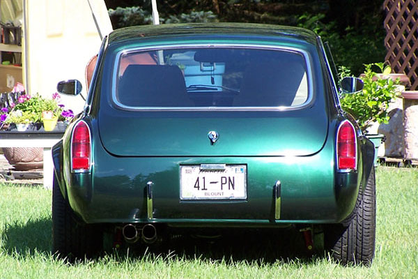 chrome nerf bars in lieu of bumpers