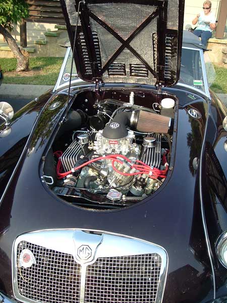 Hood louvers and stainless steel mesh grille