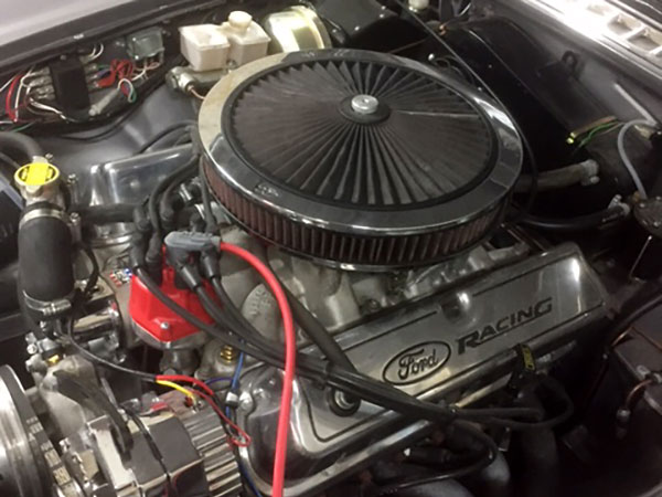 Edelbrock Performer intake manifold. Ford Racing aluminum valve covers.