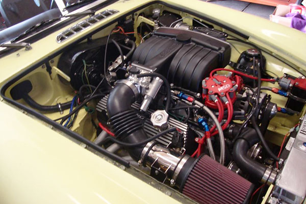 Ford 302 Efi. (77 B with Ford 302)
