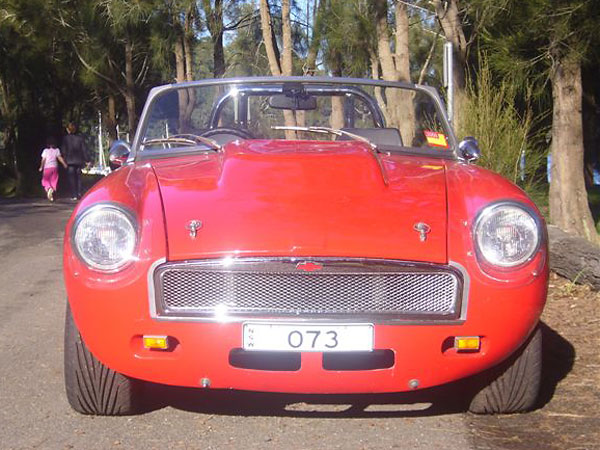 wire mesh grille for MGB