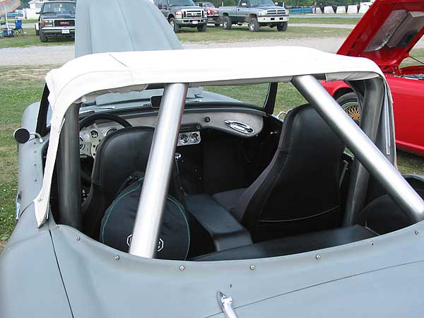 removeable rear windows and stainless steel roll hoop