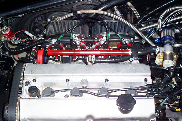 45mm throttle bodies. Pico fuel injectors.