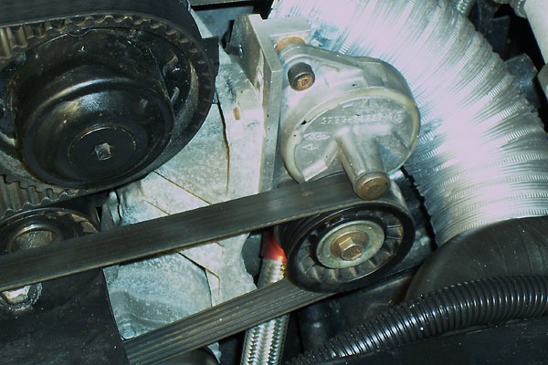 Lotus engine idler system and serpentine accessory drive belt.