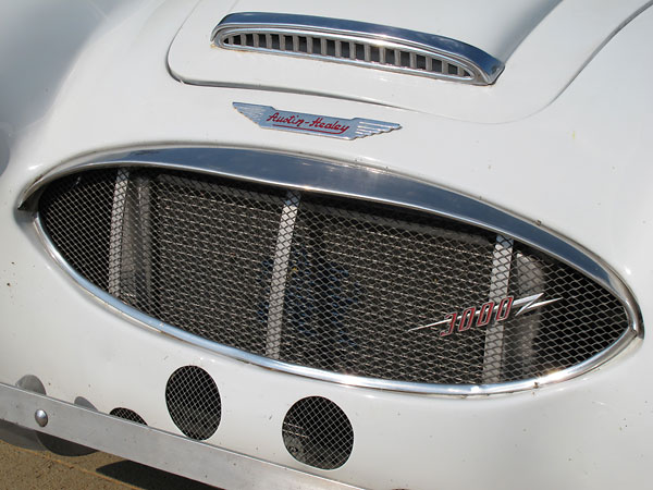 Wire mesh grille and extra vent holes in the bodywork below. Very lightweight custom bumper.