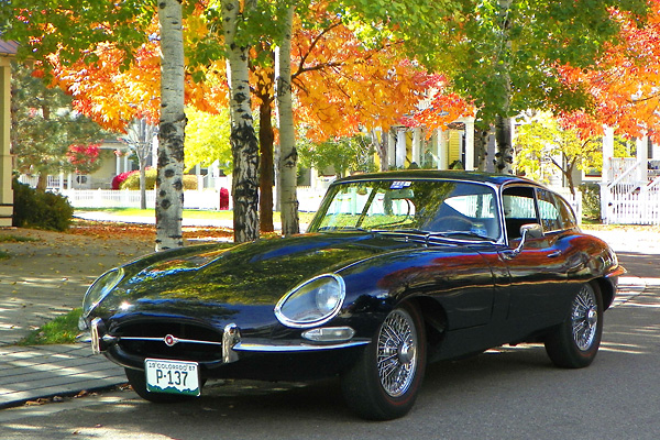 Robert Bennett S 1967 Jaguar Series I E Type Fixed Head Coupe With Ford 302 V8