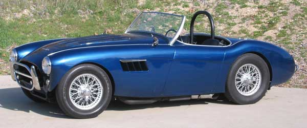 Austin Healey side view