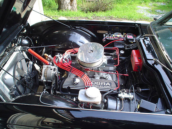Ford 302, 350hp crate engine by The Engine Factory