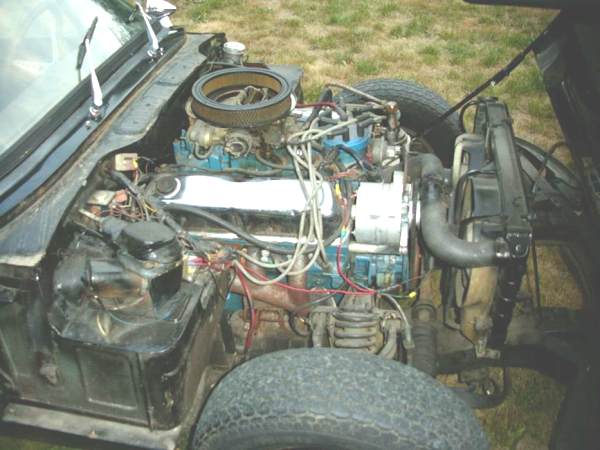 Ford 302 engine swap