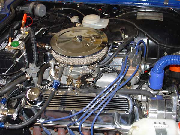 Ford 5.0 engine