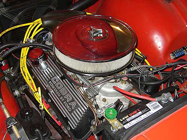 Ford 302 V8 Engine