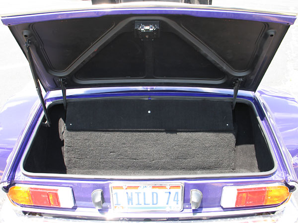 Fully carpeted trunk.