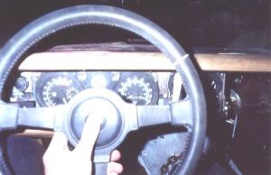 horn button