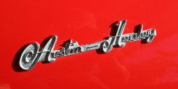 Austin Healey badge