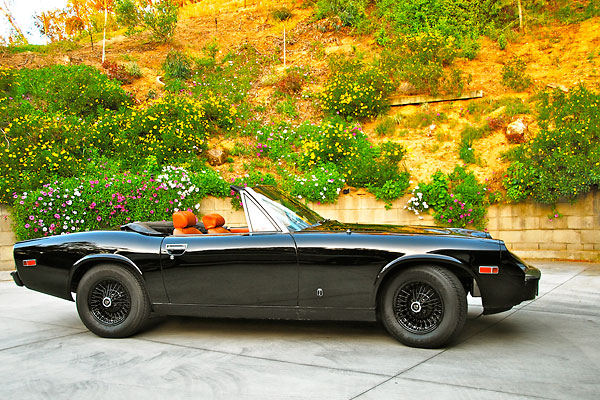 A Medium Size Healey?