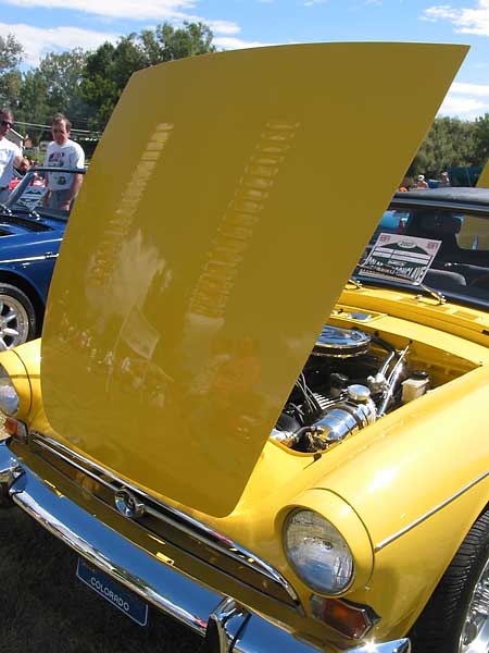 Sunbeam Tiger louvered hood